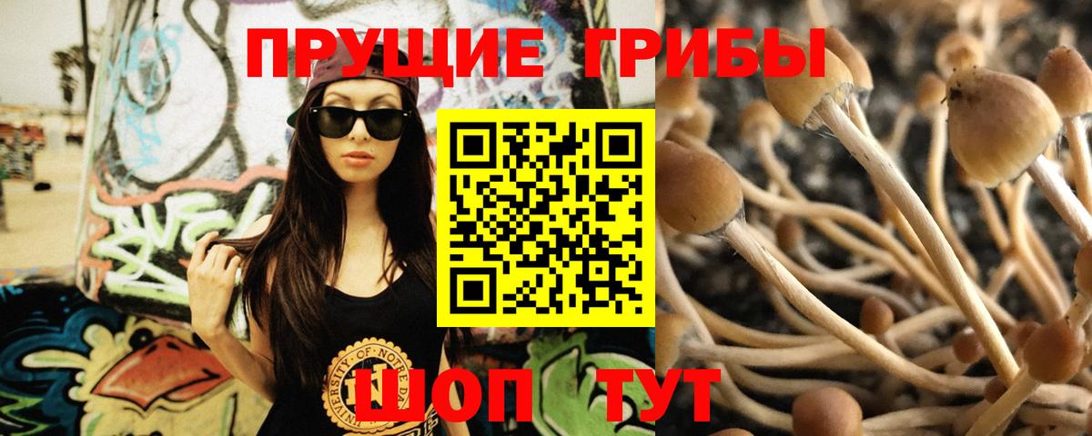 Галлюциногенные грибы Psilocybine cubensis  закладки  Псилоцибиновые грибы Psilocybe  Орёл  Вход с VPN 