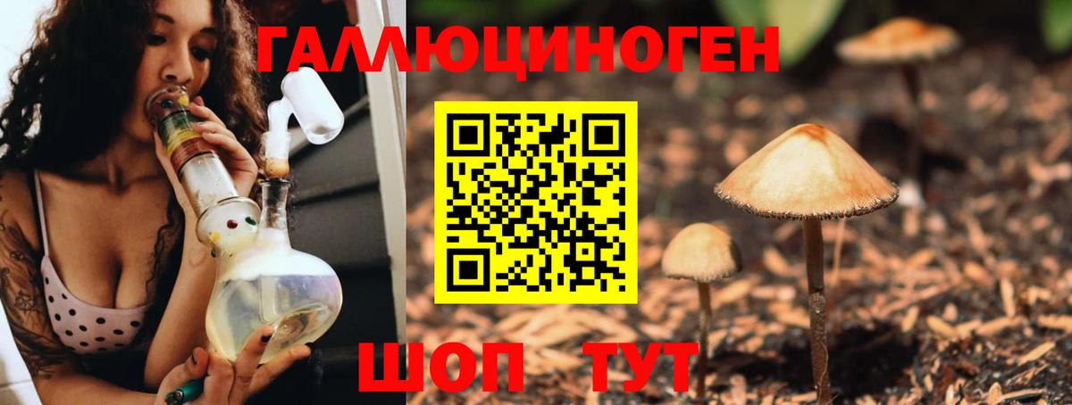 Галлюциногенные грибы Psilocybe Орёл